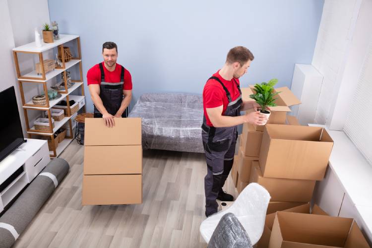 Packers And Movers Noida Sector 14